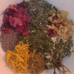 Alvást segítő teafű